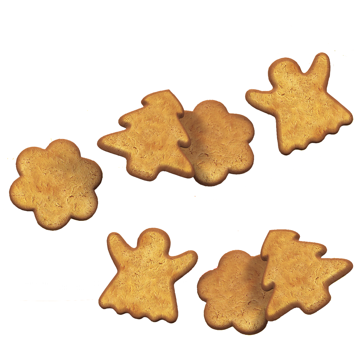 生姜神奇的早上