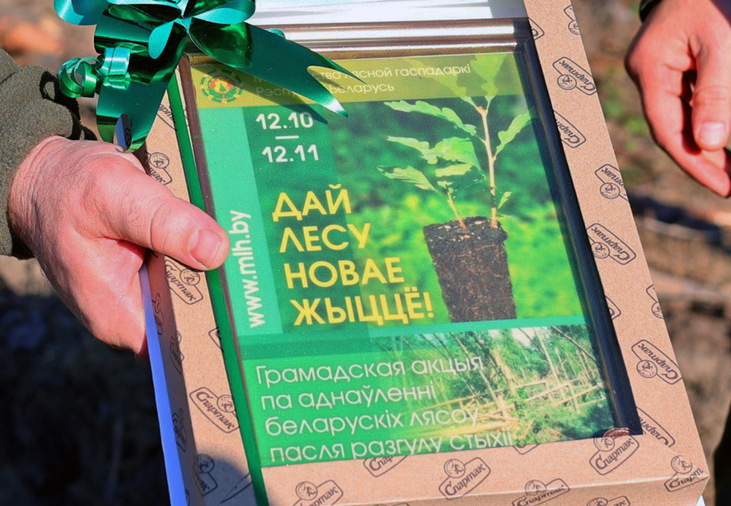 Дай-лесу-новае-жыццё!-4.jpg