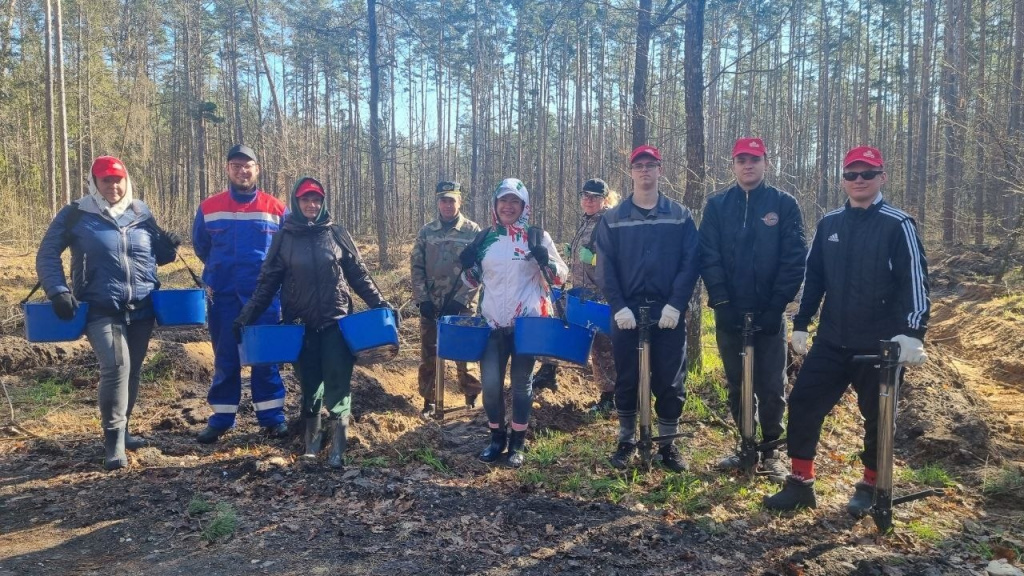 Лес. Дабро. Парадак-2.jpg