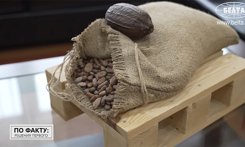 ЛУКАШЕНКО: Кушать человек будет желать всегда! // Про белорусские конфеты и вафли для Монголии