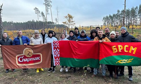 Дай лесу новае жыццё!