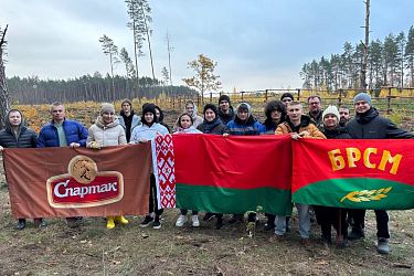 Дай лесу новае жыццё!