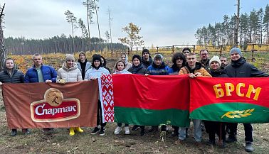 Дай лесу новае жыццё!