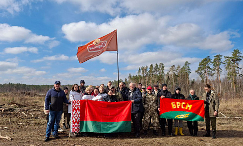 Акцыя «Дай лесу новае жыццё»