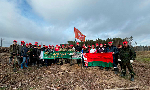 Дай лесу новае жыццё!