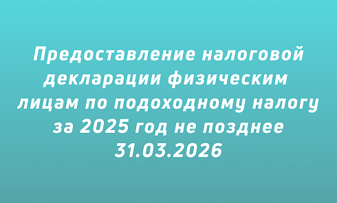 Предоставление налоговой декларации 